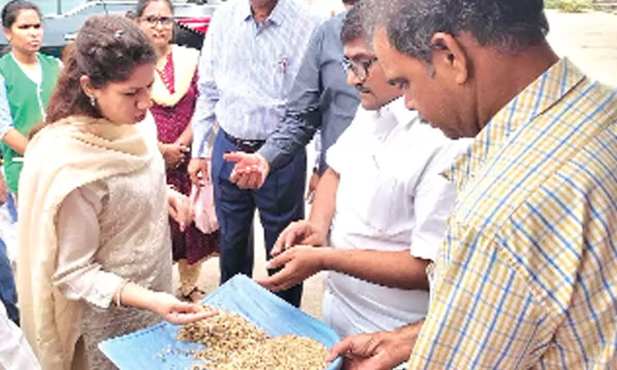 District Collector Krithika Shukla checking paddy grains at a paddy procurement centre in Vetlapalem village on Friday