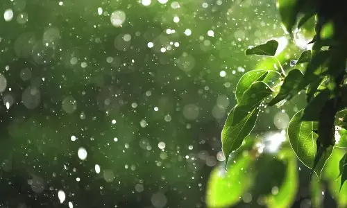 Light to moderate rainfall occurred in Guntur, Palnadu, Bapatla districts