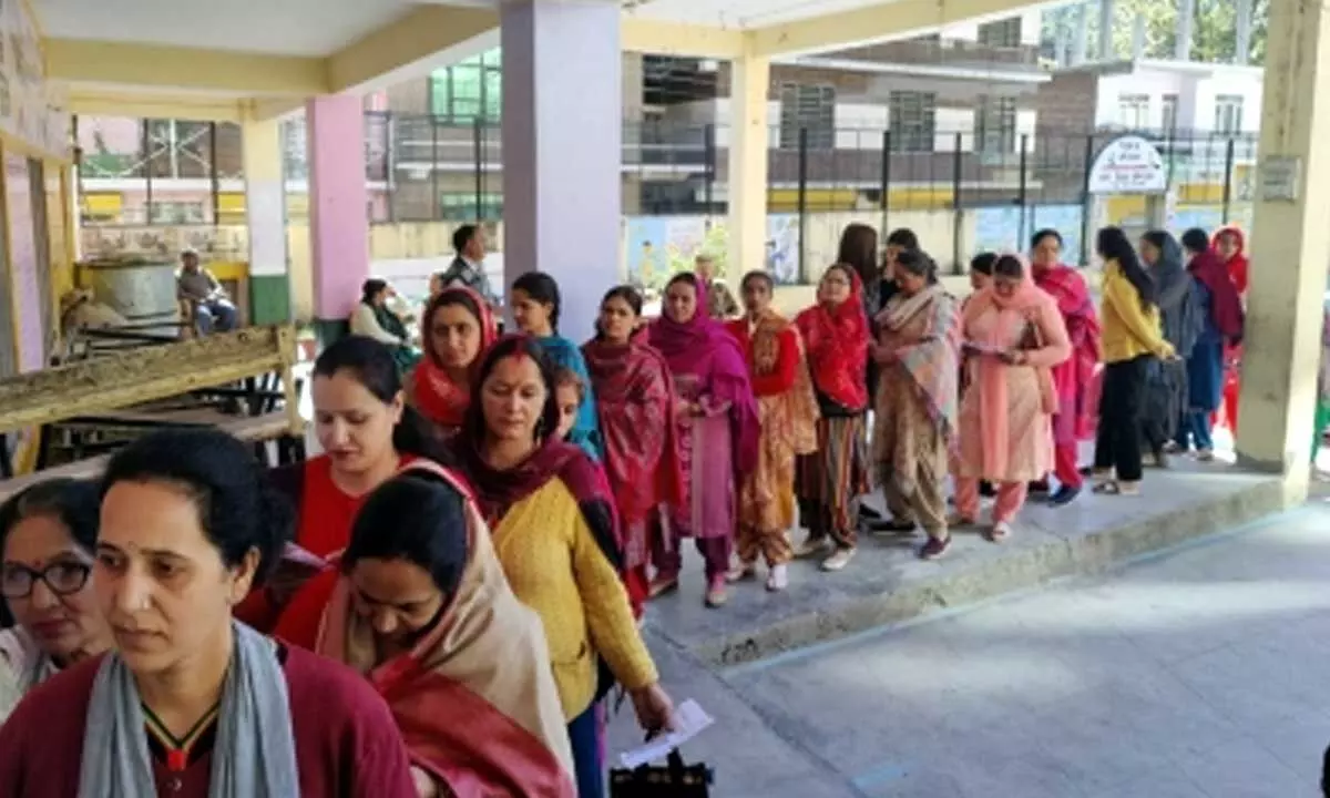 Himachal polls: Nearly 18% voter turnout in first 3 hrs