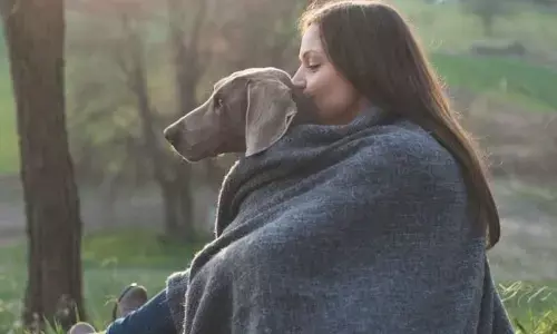 Keep your pets warm this winter