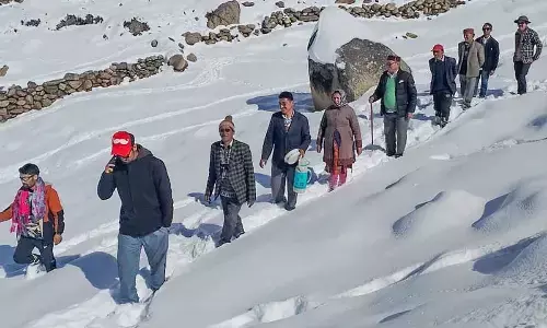 Voters wade through snow as they make way to the polling station to cast their votes for the Himachal Pradesh Assembly elections on Saturday