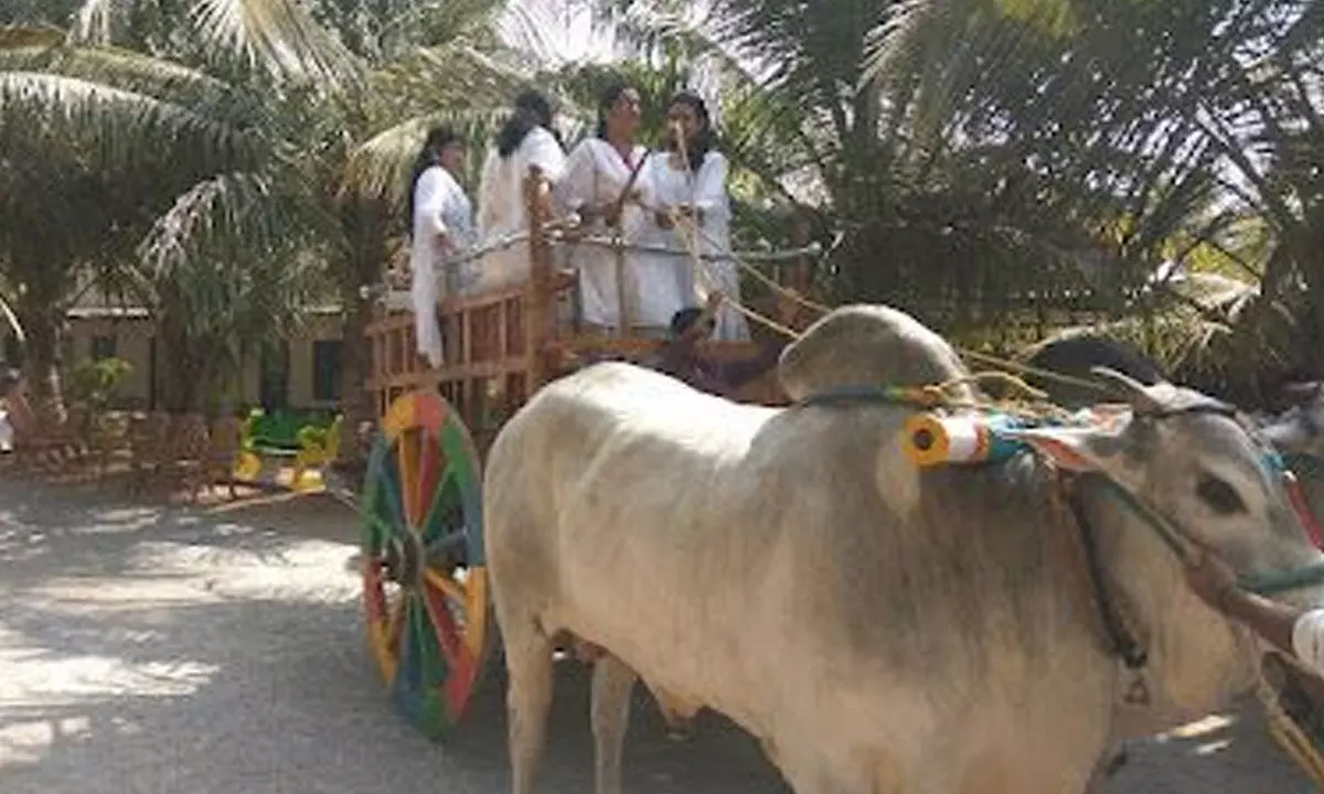 Agriculture students riding a bullockcart in the Adarana Farm at Hampapuram in Anantapur