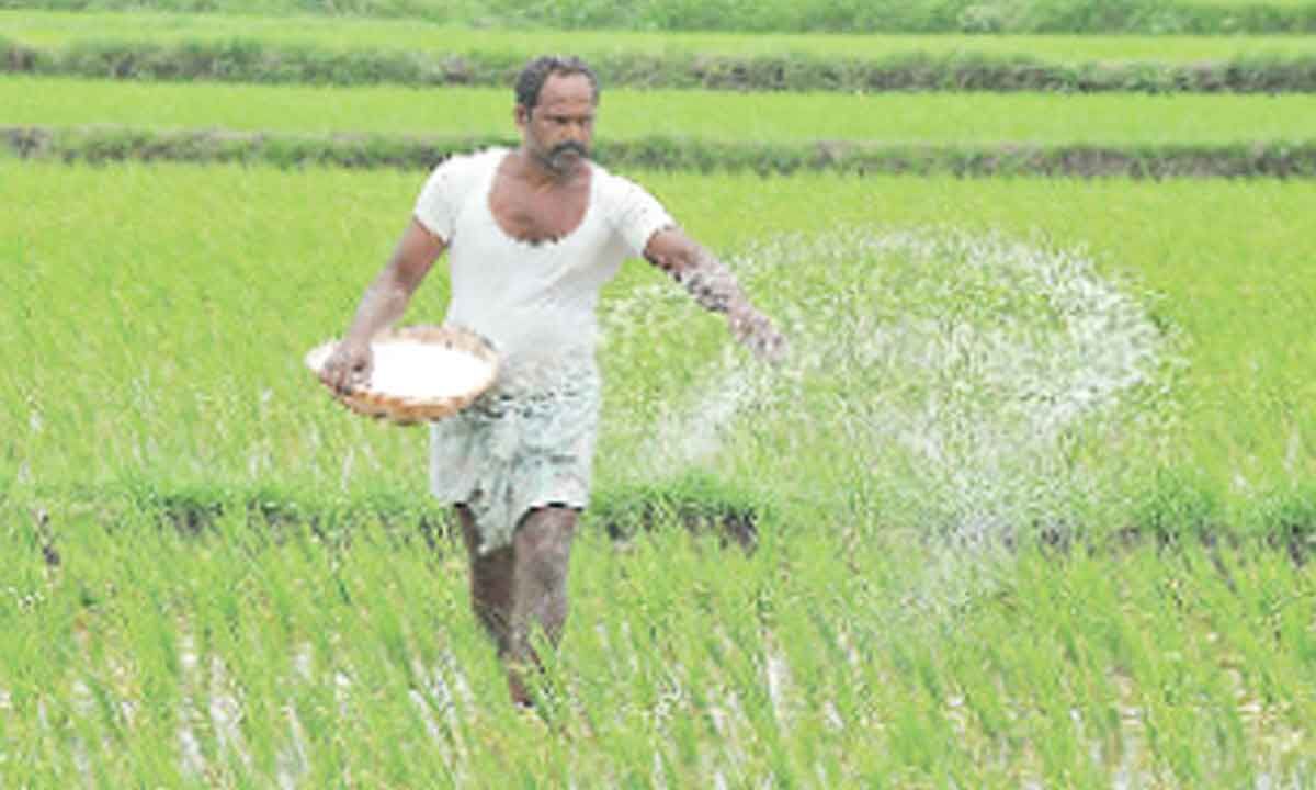 TS Emerges Role Model In Country In Welfare Of Farmers