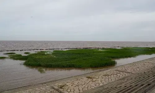 Representational image