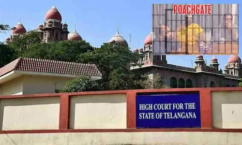 HC gives go-ahead to SIT to probe Poachgate case with conditions