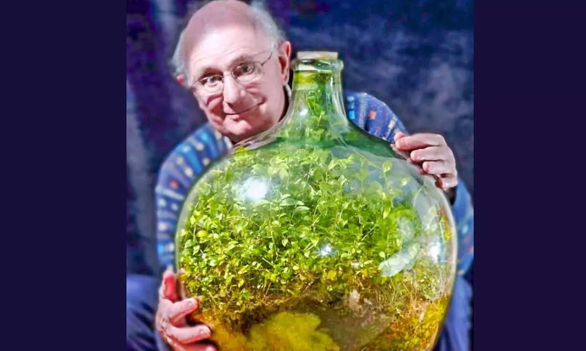 The above Terrarium, has not been watered, since 1972.