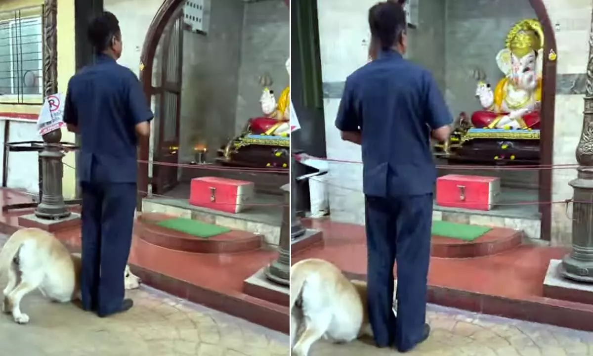 Dog Bowing Down In Front Of Lord Ganesha