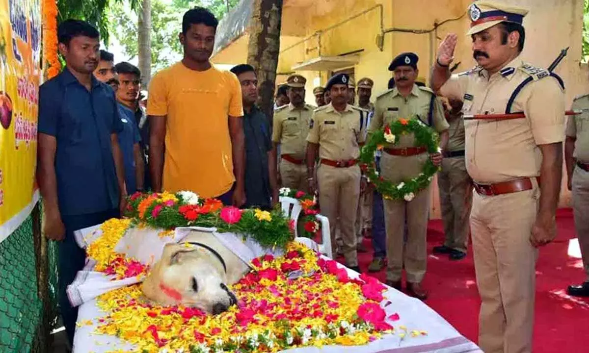 Karimnagar police sniffer dog dies, final rites held with honours