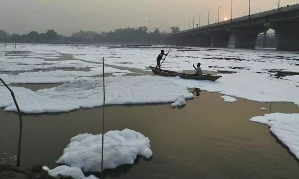 BJP targets Arvind Kejriwal over cleaning of Yamuna river, air pollution