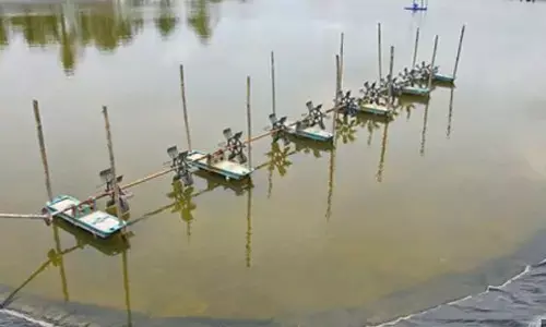 Picture for respresentational purpose only