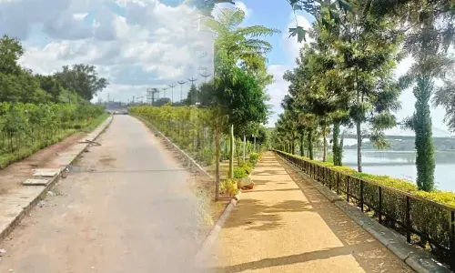 Hyderabad: City turns into green valley under Haritha Haram