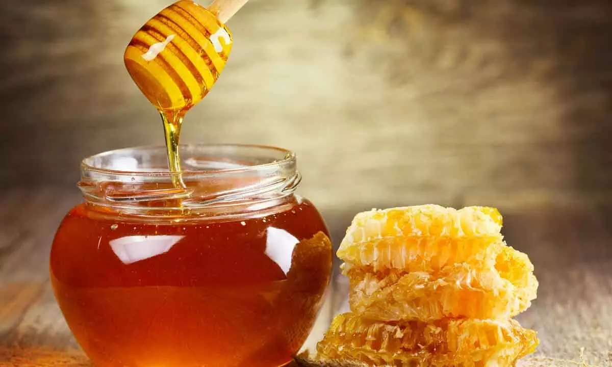 Honey shows to improve blood sugar, cholesterol: Study