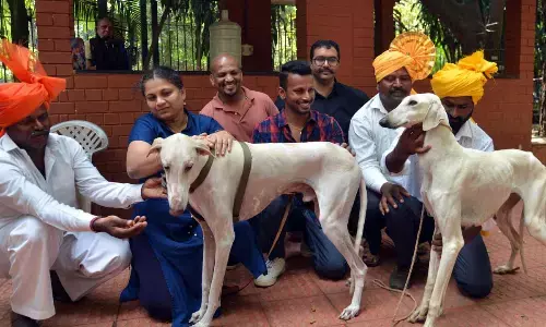 National Championship Dog Show in Bengaluru on Nov 19, 20