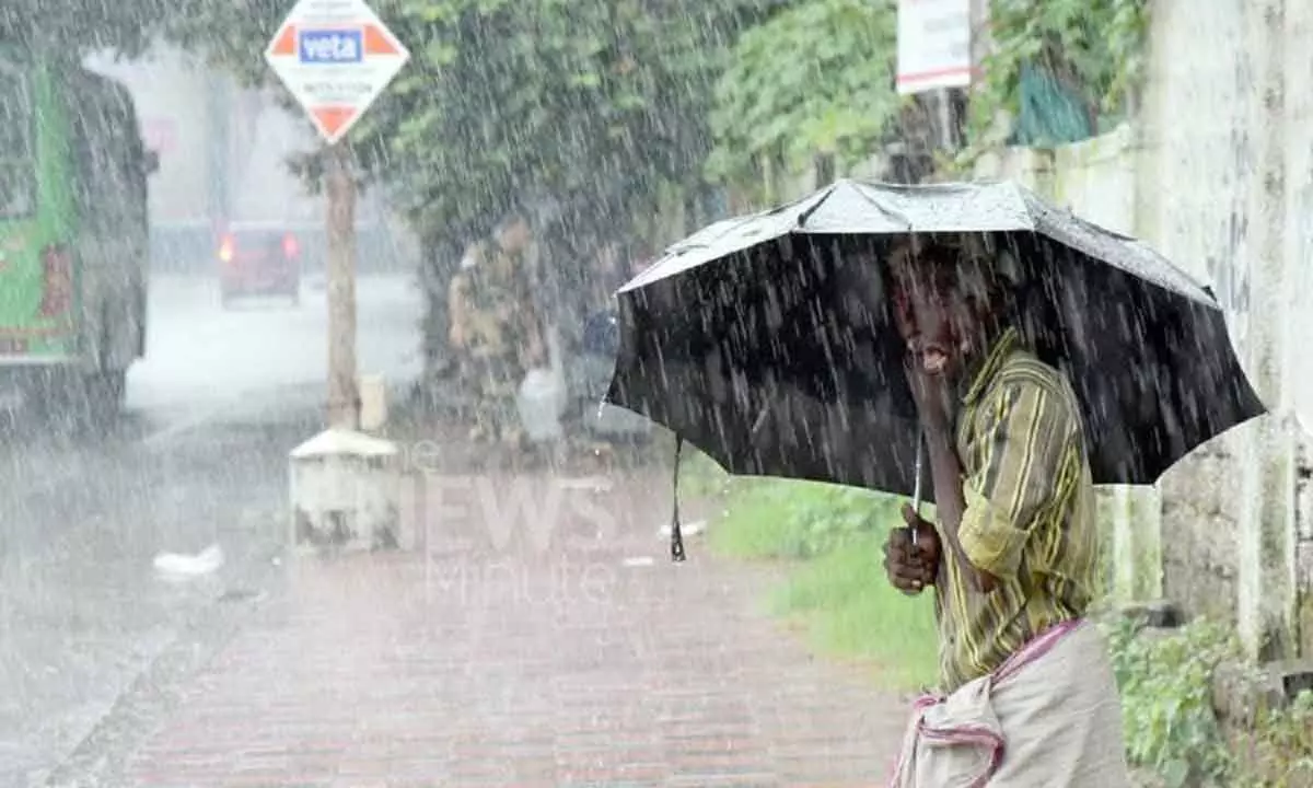 Rains to be back in TN from Saturday, Yellow alert in 7 districts