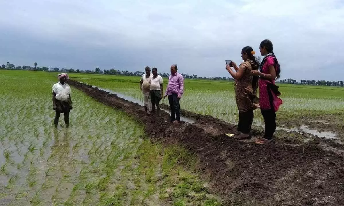 Create awareness among farmers on e-crop booking
