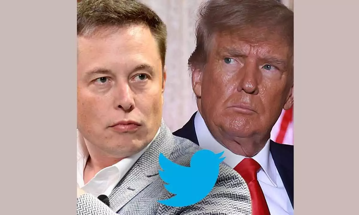 Elon Musks Twitter poll on reinstatement of Trumps account