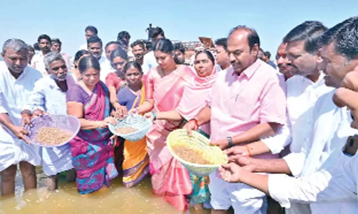 Gadwal MLA Bandla Krishna Mohan releasing fish lings into Rylampad Reservoir  in Dharur mandal on sunday