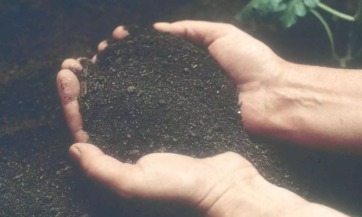 Restore carbon content to improve soil health