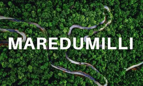 Maredumilli: The Best Place to have a Trip