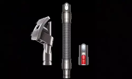 Dyson Pet grooming kit