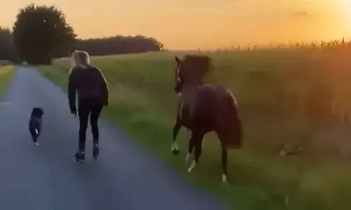 Social media absolutely loved the trios bond in the video.