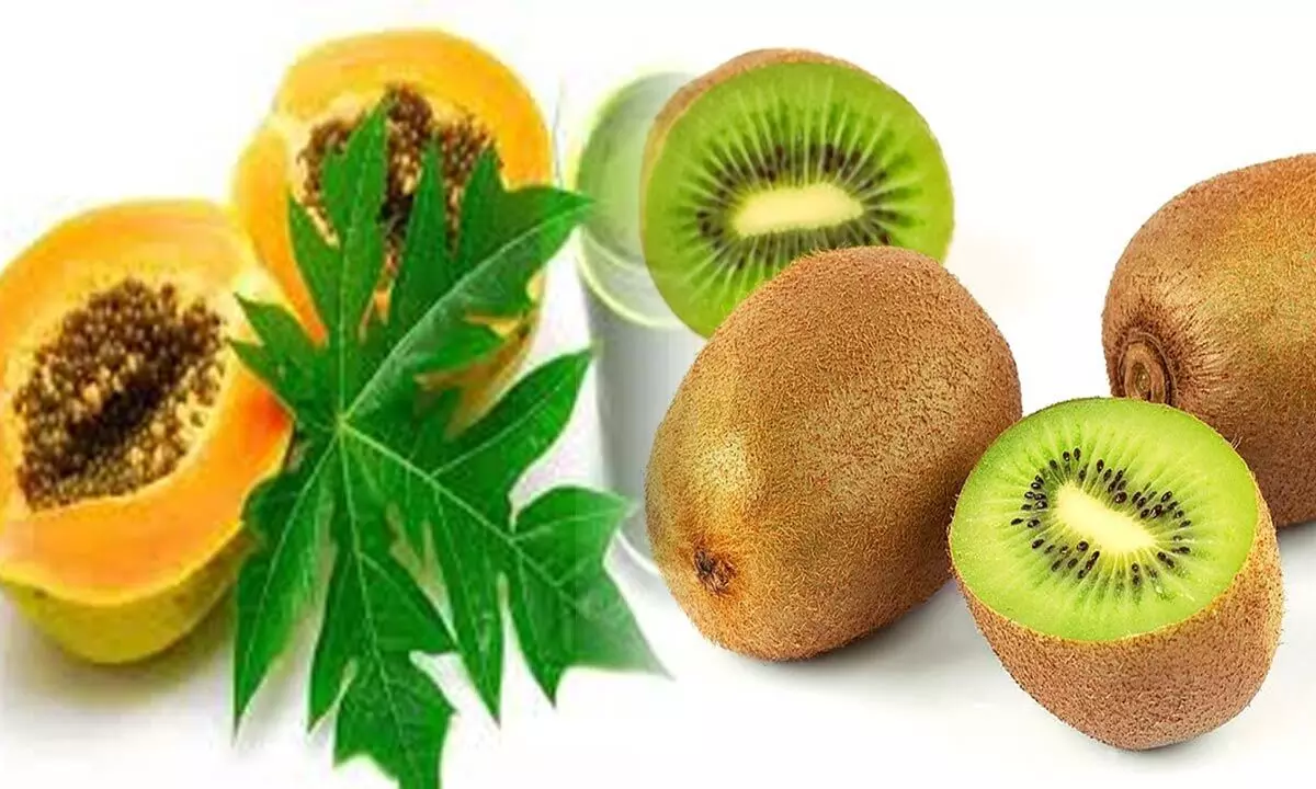 These super fruits will help you recover faster from Dengue