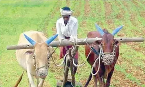 TRS accuses Centre of diluting Kisan Samman Nidhi scheme