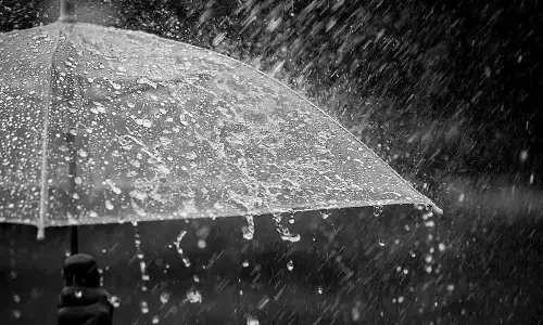 For representational purpose only