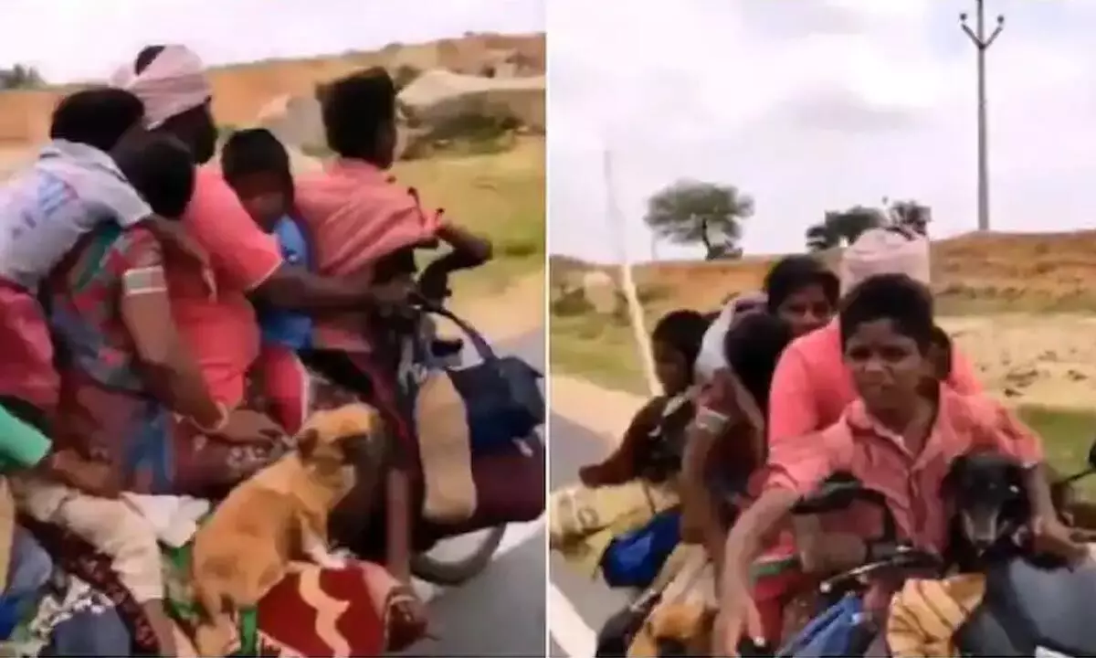 A Man Riding Bike With Wife, 5 Kids, 2 Dogs And 2 Chickens