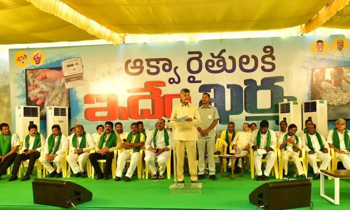 TDP national president N Chandrababu Naidu adderssing a seminar on aqua sector at party state office in Mangalagiri on Thursday
