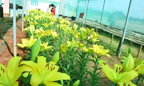 Agri-tourism to draw tourists, empower farming communities