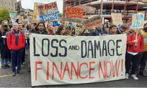 COP27: No strong will to stem climate crisis