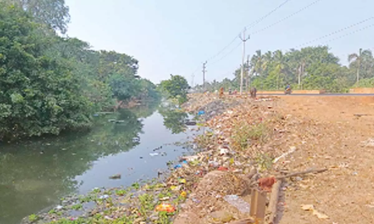 Indrapalem to Somokot canal road filled with garbage