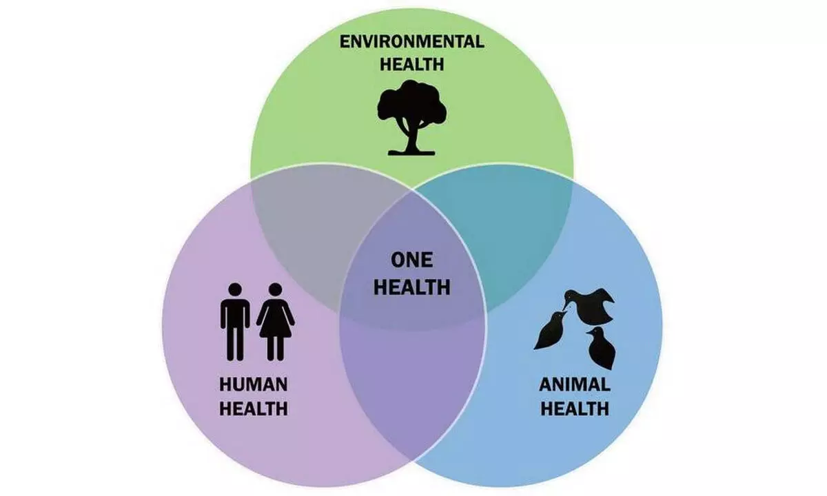 Consortium to submit report for One Health approach soon