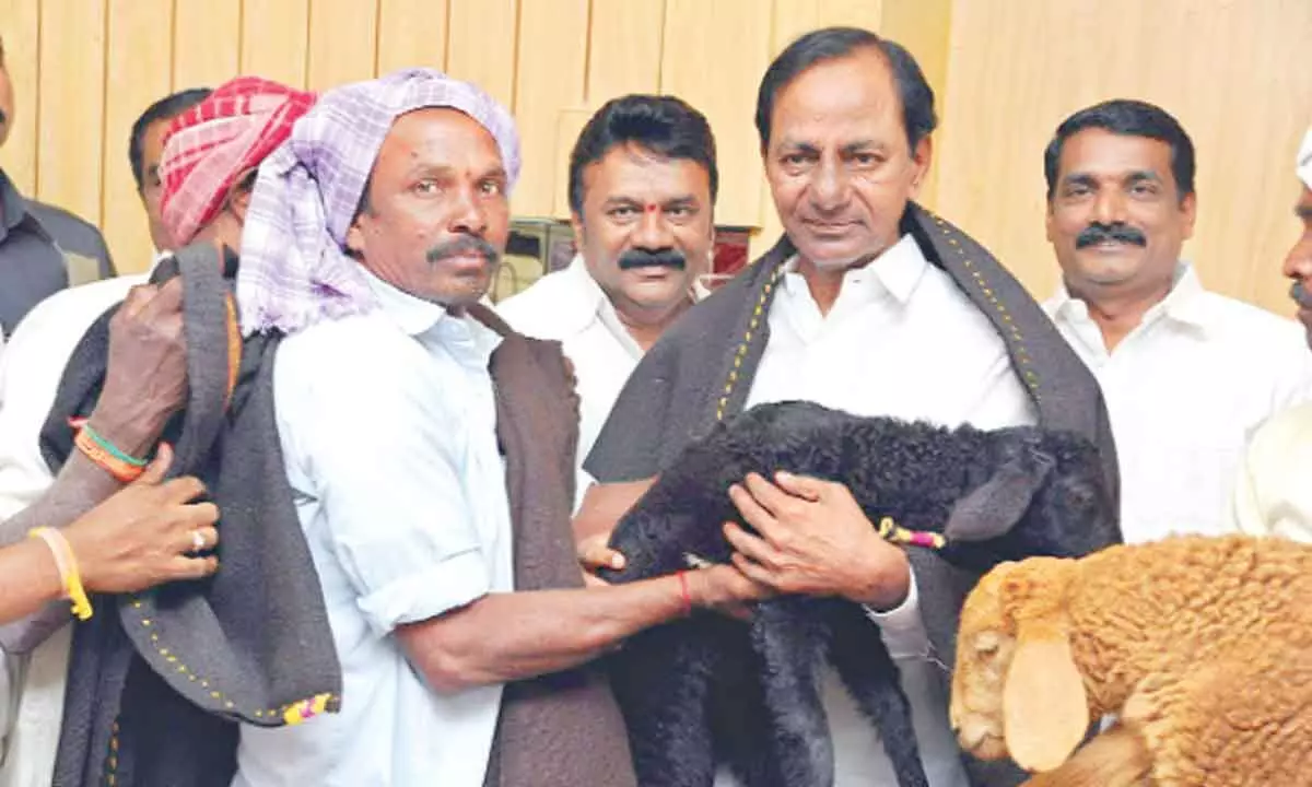 Telangana surpasses Rajasthan in meat production