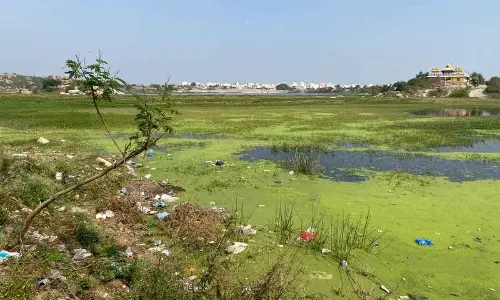 Amber Lake in Nizampet