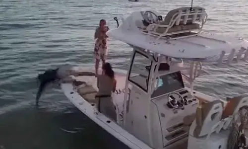 The ring box slipped out of his hands and fell straight into the water