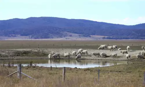 Australia facing disastrous summer of extreme weather events: Study