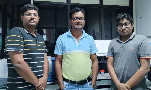 Artificial photosynthetic systems for solar energy capture developed