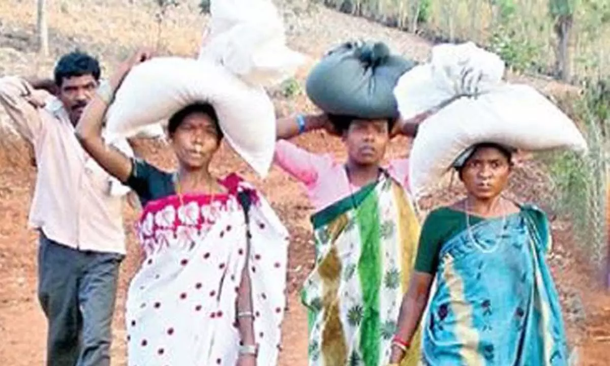 File photo of tribal women carrying ration rice in a hilly area of Alluri Sitarama Raju district