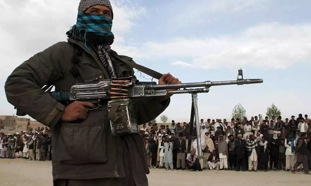 TTP appears to have lost trust in the Haqqani faction of Taliban: Report
