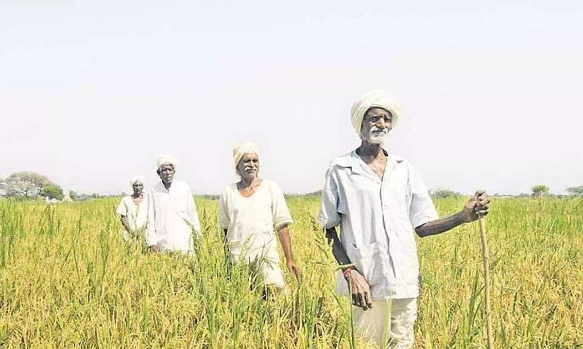 Kin of 814 farmers utilised ex-gratia