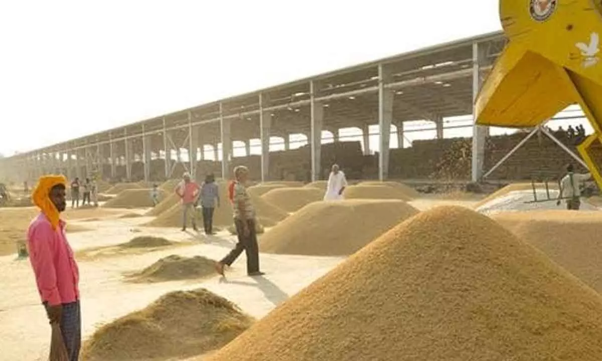 Parvathipuram: Collector Nishant Kumar inspects paddy procurement process