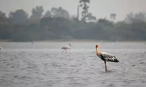 Tamil Nadu: Survey of 42,000 lakes underway to increase storage capacity