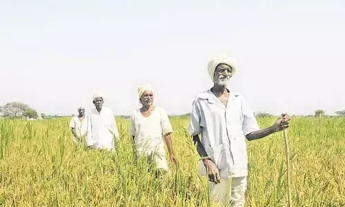 Kin of 814 farmers utilised ex-gratia