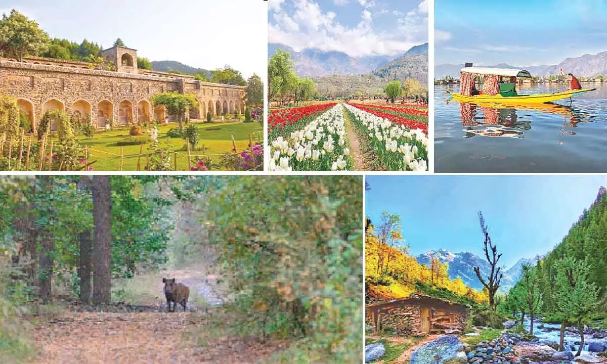 Srinagar makes it to the list of top places to visit in 2023