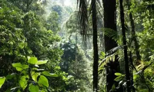 GEF funds to support next generation of conservation scientists