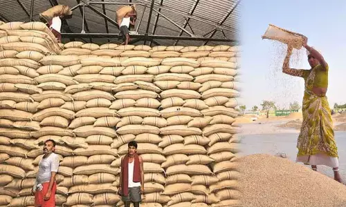 TS first State to purchase 100% paddy from farmers