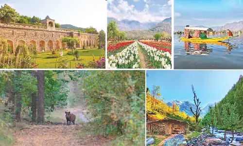 Srinagar makes it to the list of top places to visit in 2023
