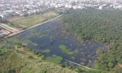 Hyderabad: Residents raise a stink over pungent smell from park